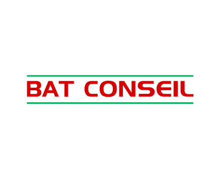 LOGO Bat Conseil